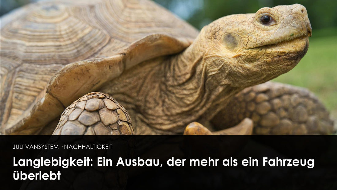 Langlebigkeit: Ein Ausbau, der mehr als ein Fahrzeug überlebt